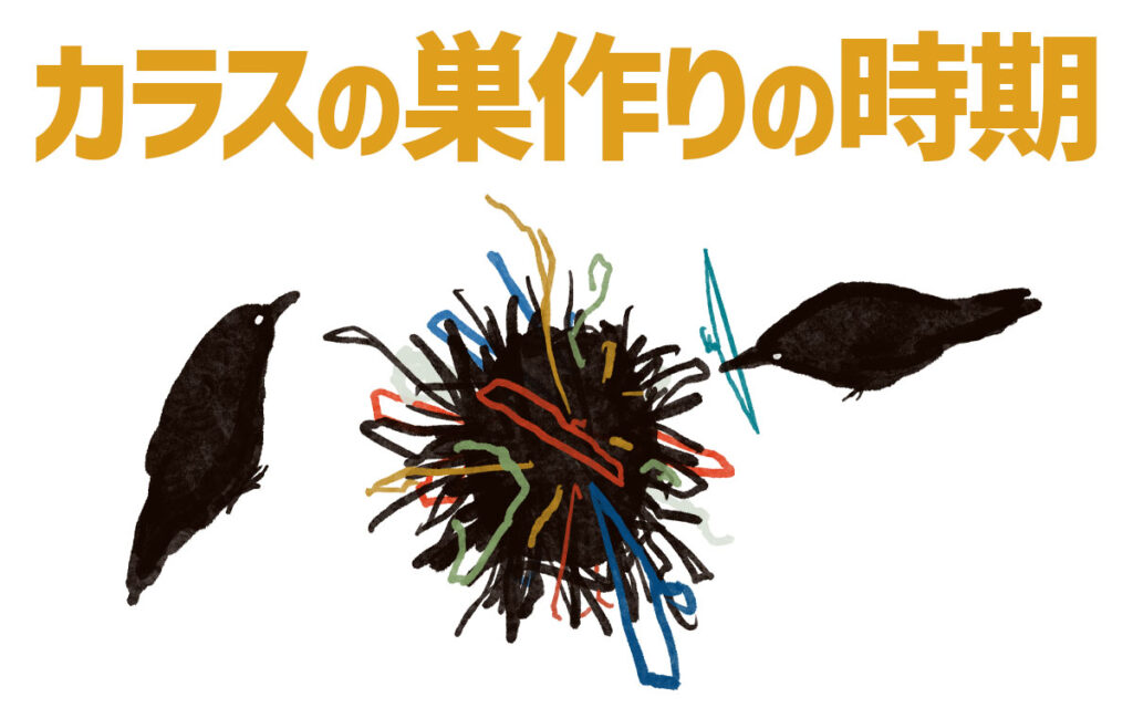 カラスが巣作りする時期は決まっているのでしょうか?