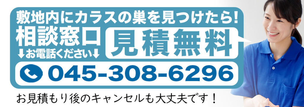 カラスの巣を見つけてお困りの方の相談窓口