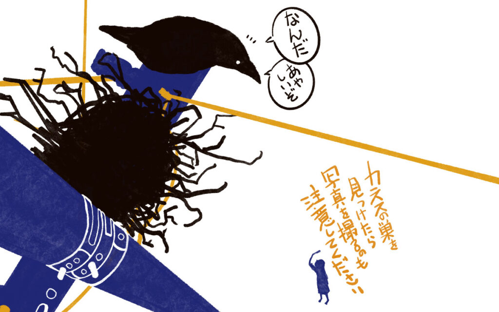 繁殖時期のカラスの巣作りで注意するポイントとは