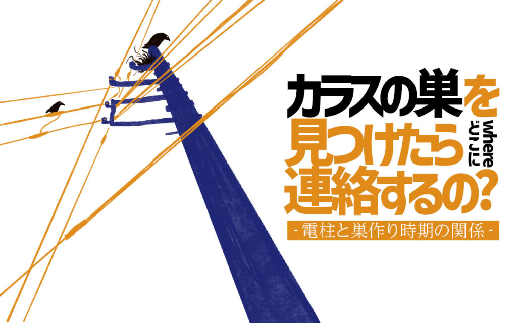 【カラスの巣を見つけたらどこに連絡するの?】電柱と巣作り時期の関係