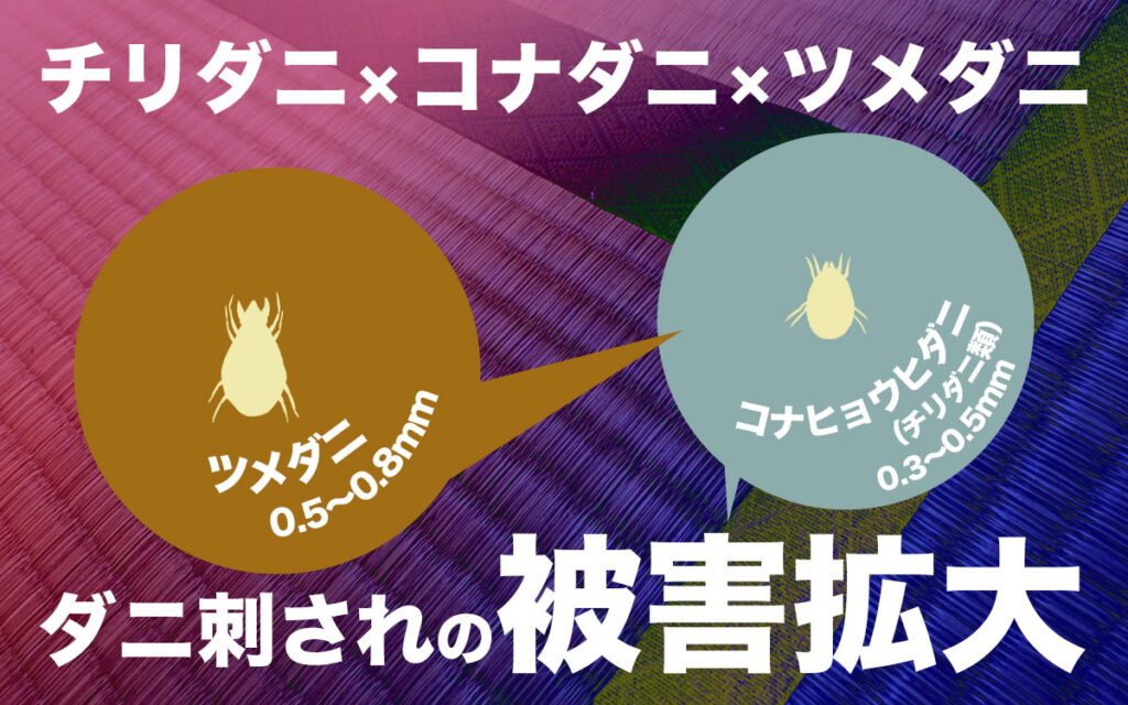 ツメダニに刺されるのはなぜでしょうか？特徴とは