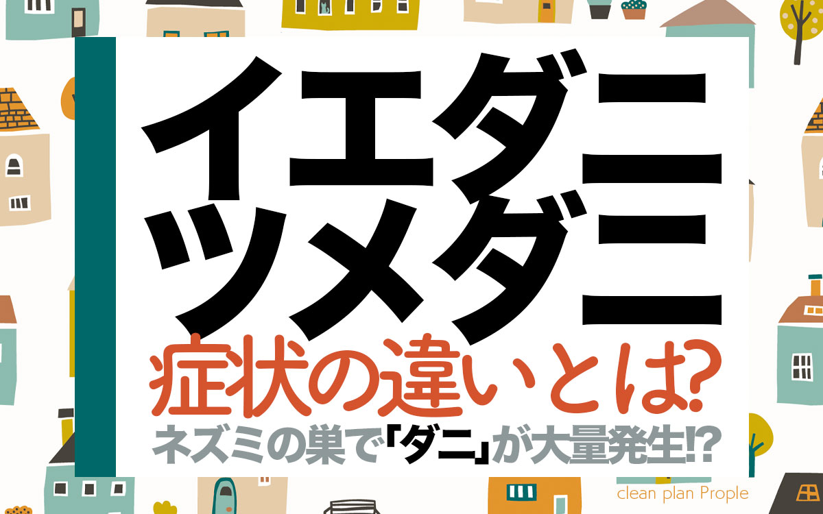 イエダニとツメダニの症状の違いとは！？【ネズミの巣でダニが大量発生】