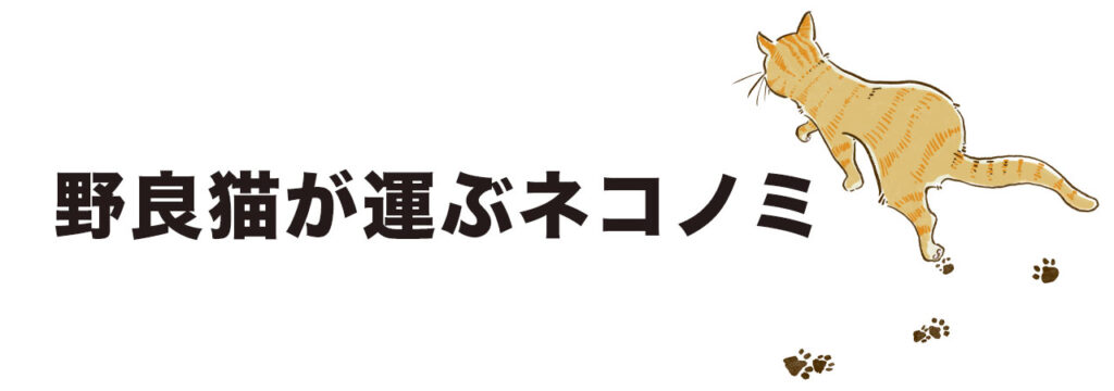 野良猫が原因のネコノミ