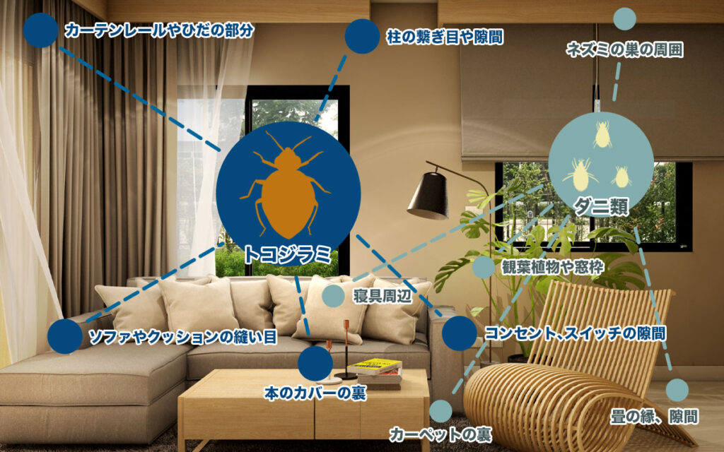 ほんとに違うの?トコジラミとダニが隠れている場所と見分け方