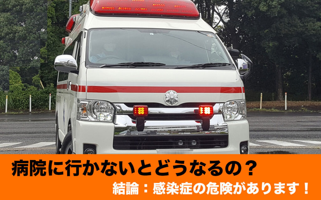 マダニに噛まれたら病院に行かないとどうなるのでしょうか?
