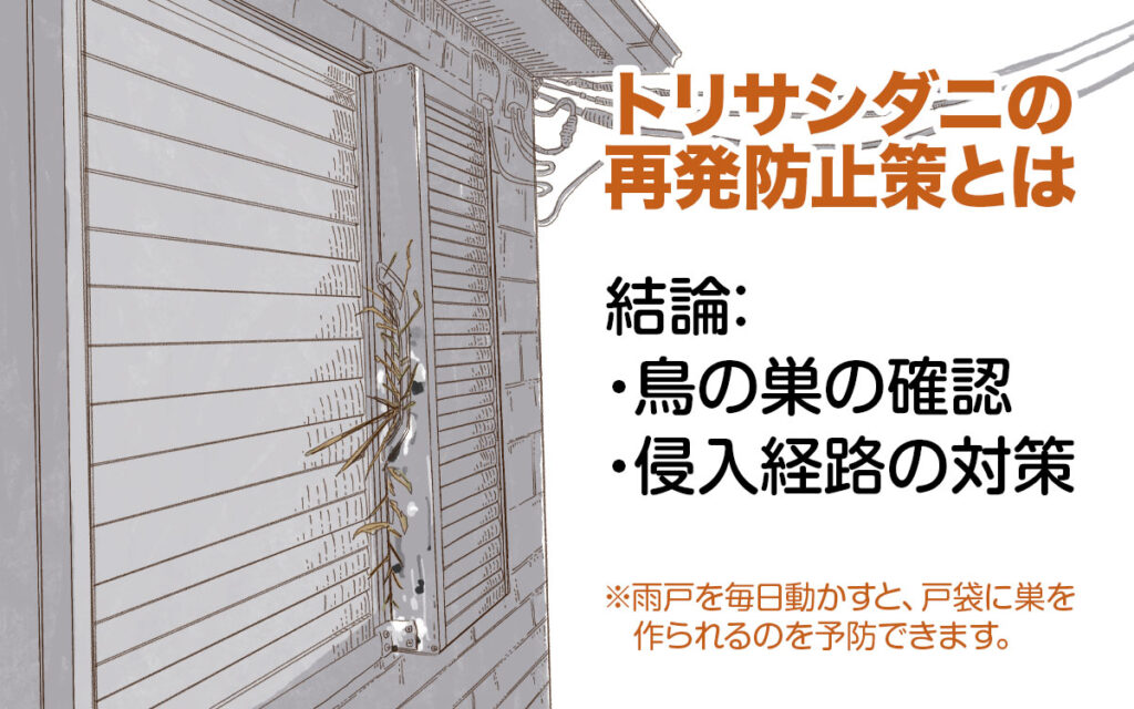 トリサシダニの再発防止は鳥の巣にあります。