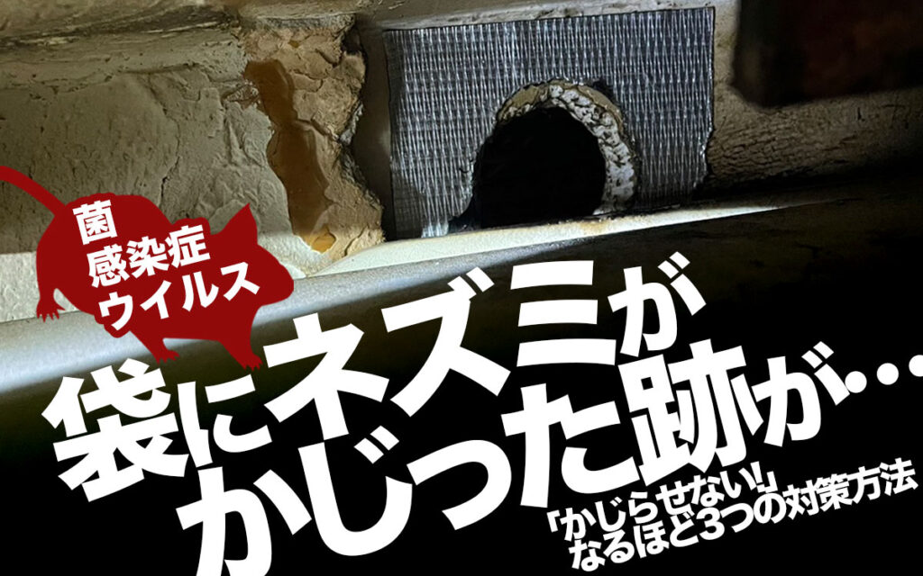 【菌・ウイルス】袋にネズミがかじった跡が…『なるほど３つの対策法』