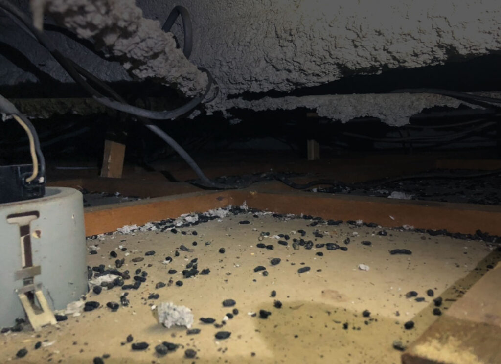 天井裏のネズミの巣が臭い？