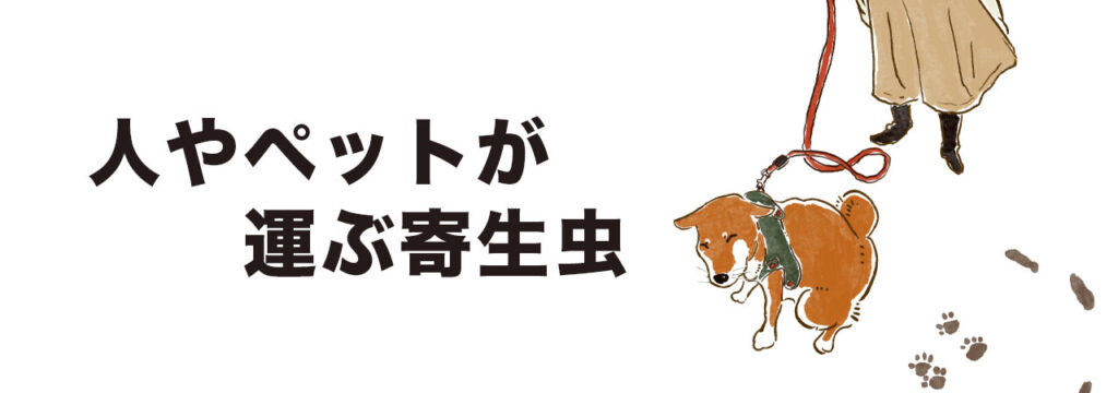 散歩や旅行で思わぬ寄生虫の持ち込みで被害に遭うパターンもあります。