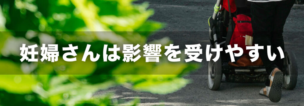 妊婦さんはコウモリの影響で重症化に注意