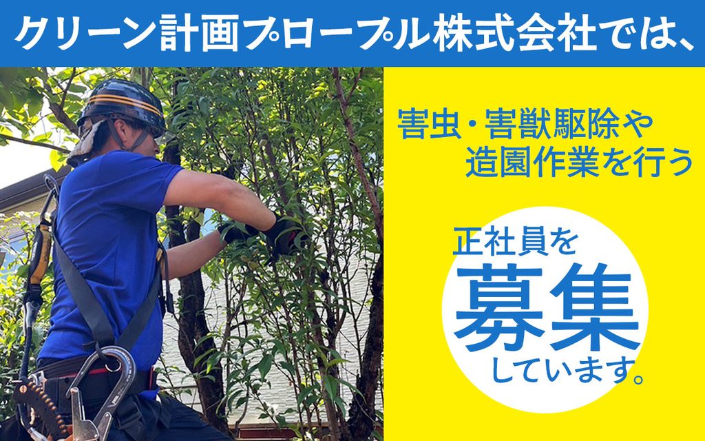 クリーン計画プロープル株式会社の求人情報