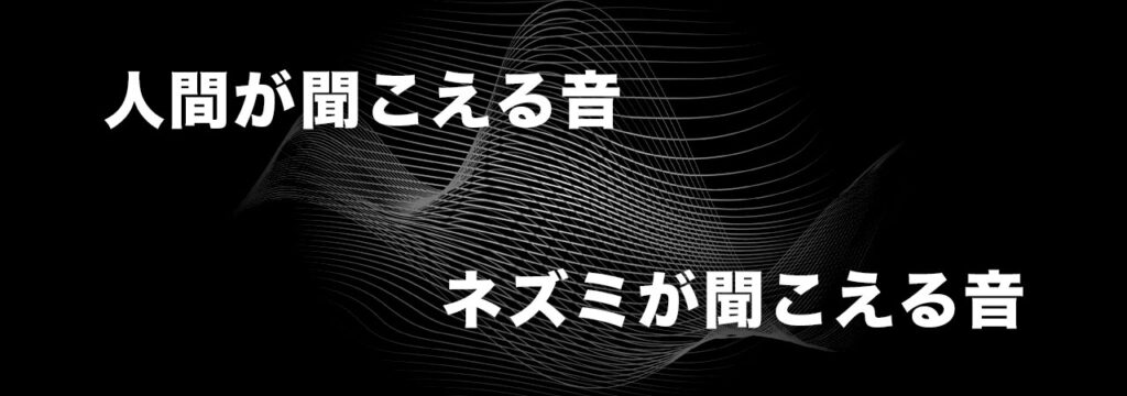 ネズミが聞こえる音と人間が聞こえる音の違いとは