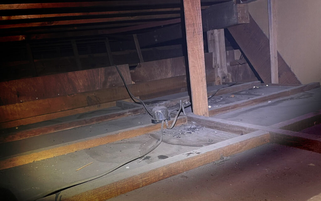 屋根裏でネズミは何をしているのか?