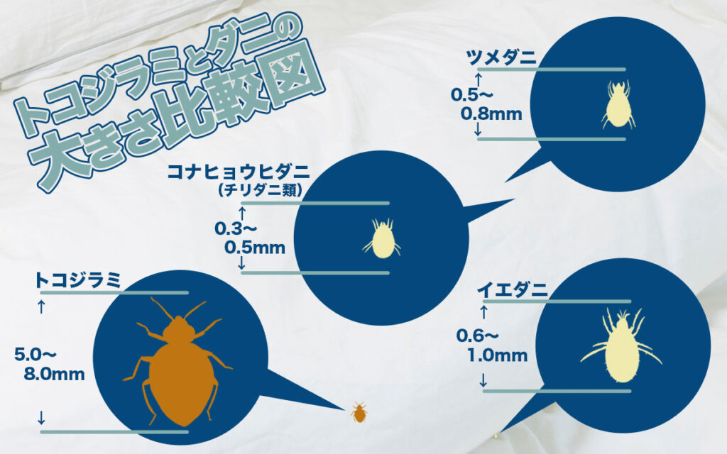 トコジラミとダニのサイズの違い一覧表