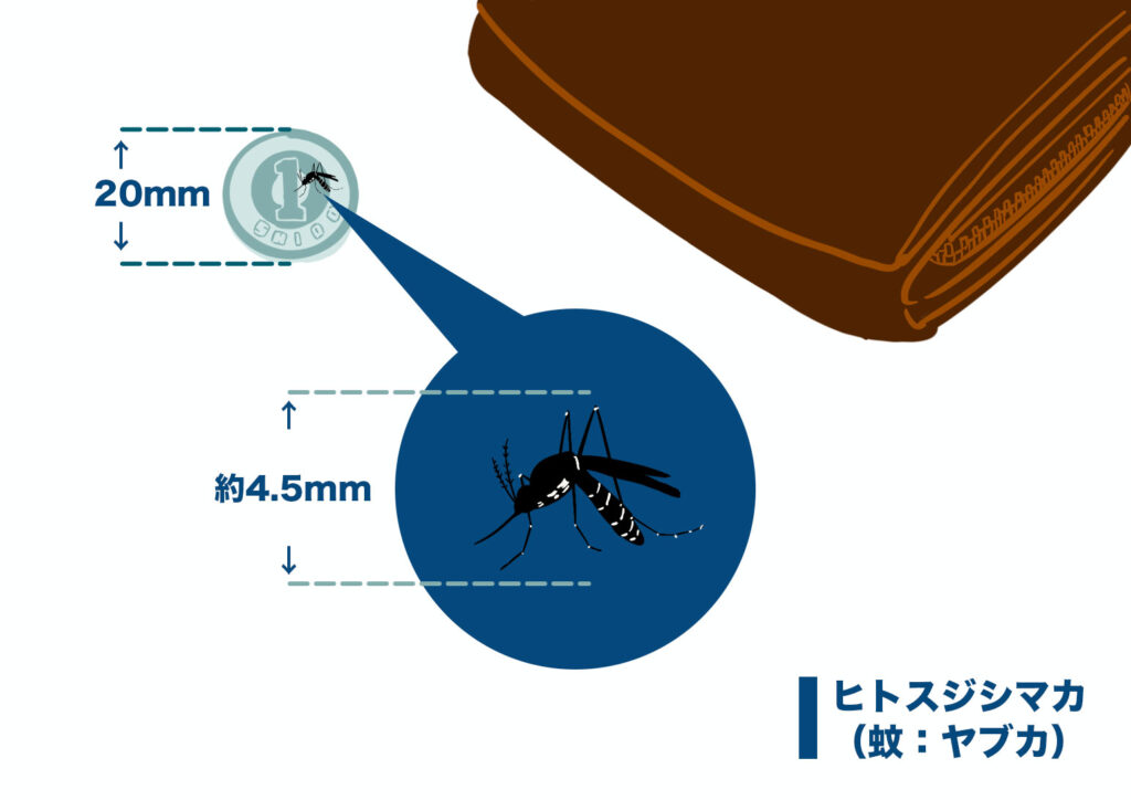 かゆい虫といえば蚊が刺したのかも？その大きさはおおよそ4.5mmです