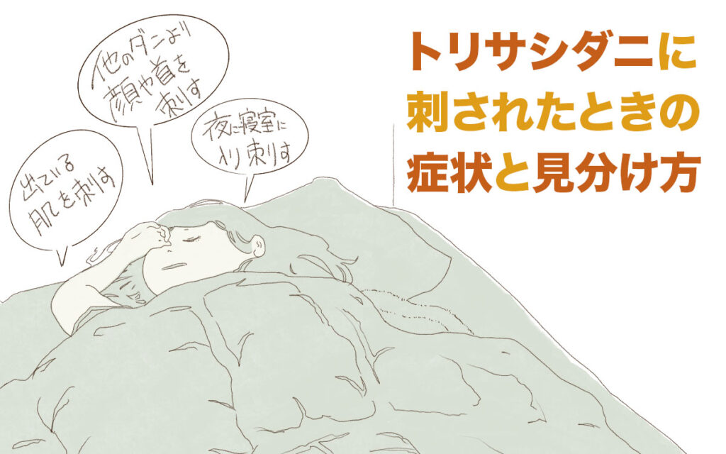 ムクドリの巣にいるトリサシダニに刺された症状と見分け方