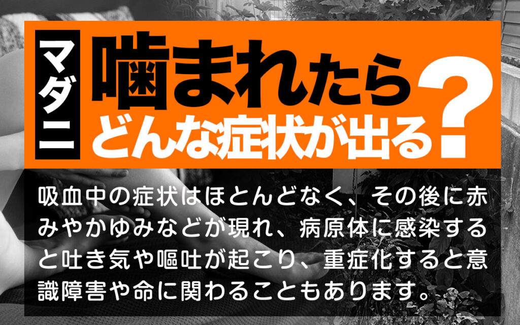 マダニに噛まれたらどんな症状がでるの?