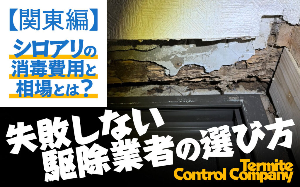 シロアリの消毒費用と相場とは?失敗しない駆除業者の選び方、関東編