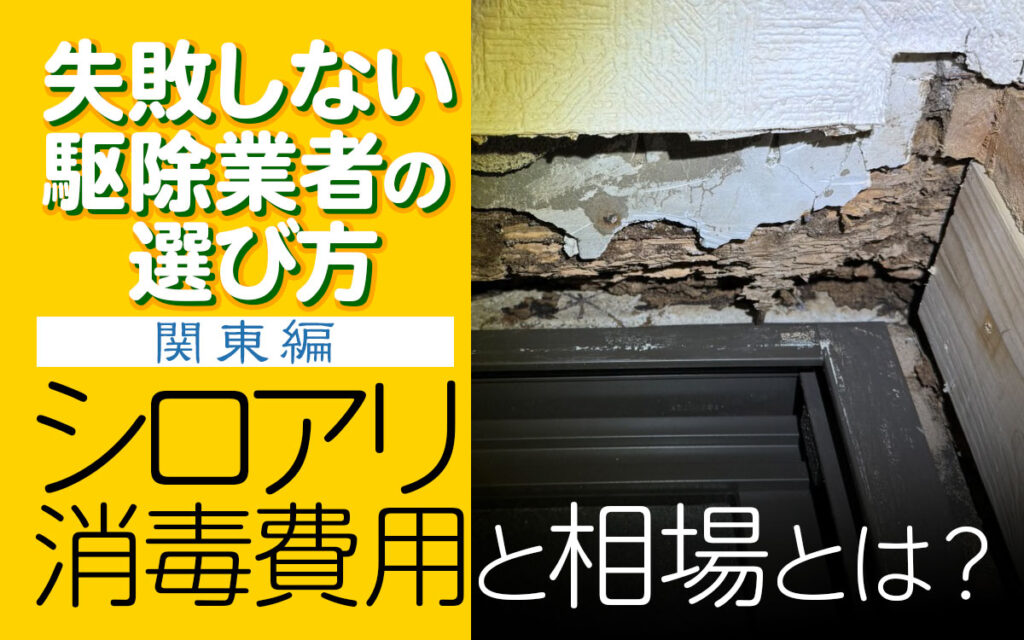 【関東編】シロアリの消毒費用と相場とは？失敗しない駆除業者の選び方