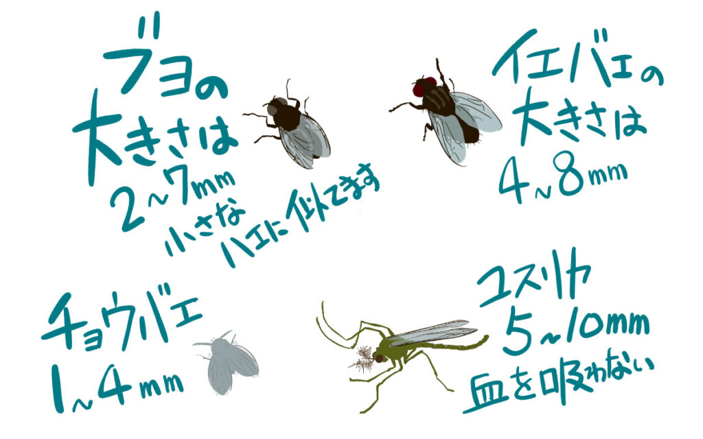 家の中や庭にブヨのような虫がいる場合はどうしたらいいの?