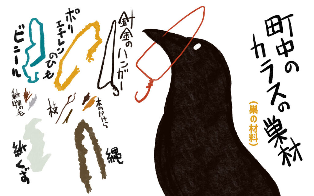 カラスはなんで電柱に巣作りをするのでしょうか?