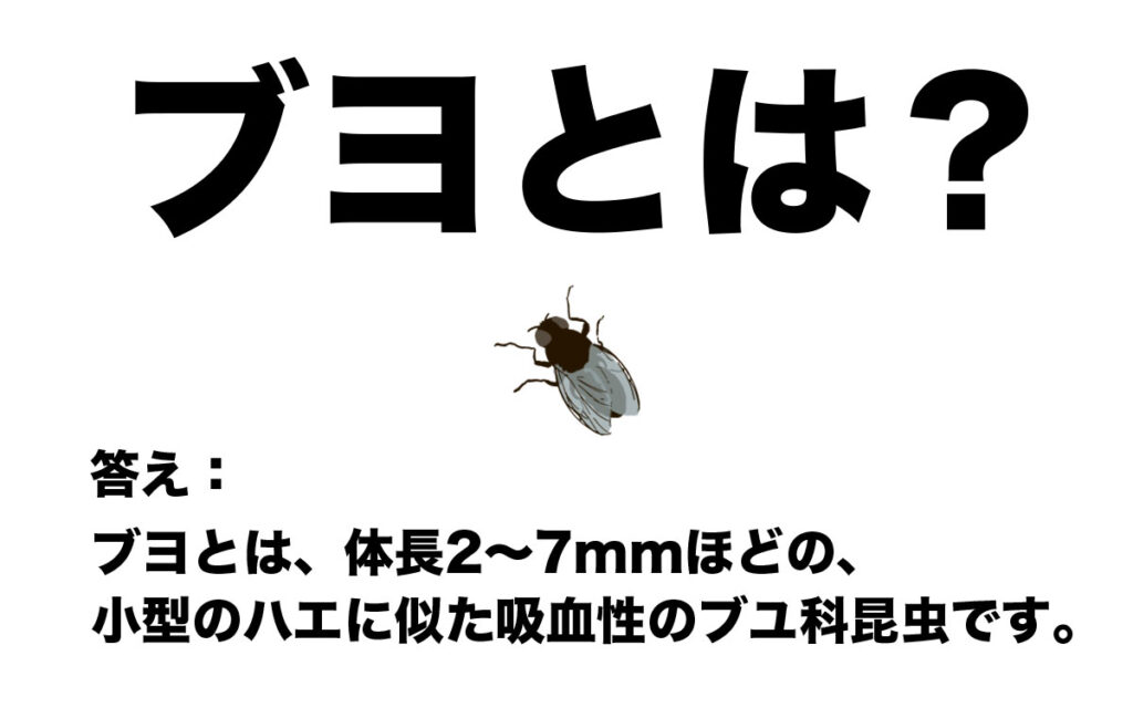 ブヨとは?ブヨって一体何?