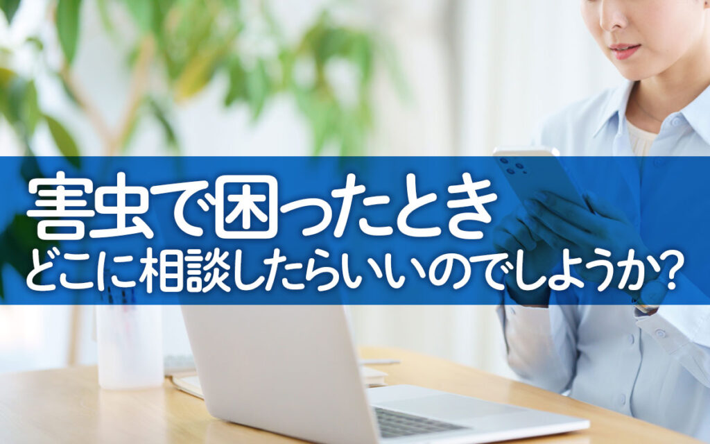 害虫駆除ってどこに相談したらいいのか迷いますよね。