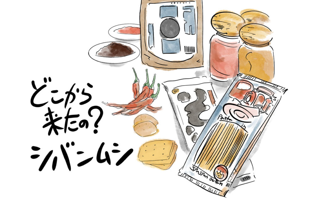 シバンムシはどこから来て、どこで発生するのか?