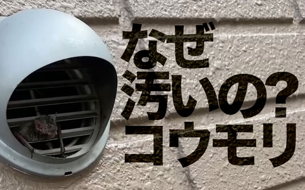 コウモリって本当に汚いの?なにが汚いの?