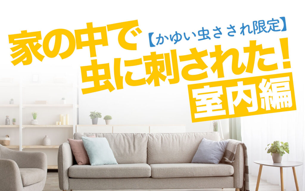 【かゆい虫刺され限定】家の中で虫に刺された!室内編
