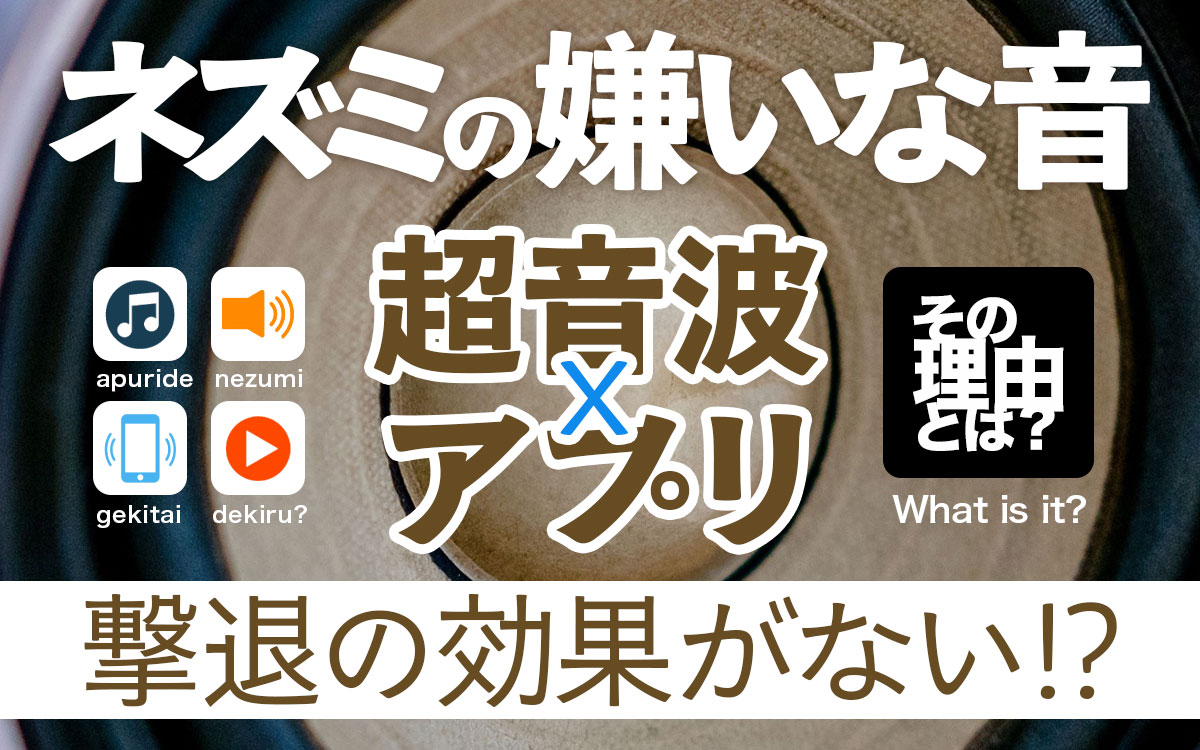 ネズミの嫌いな音と超音波とアプリで撃退できるのか解説しました