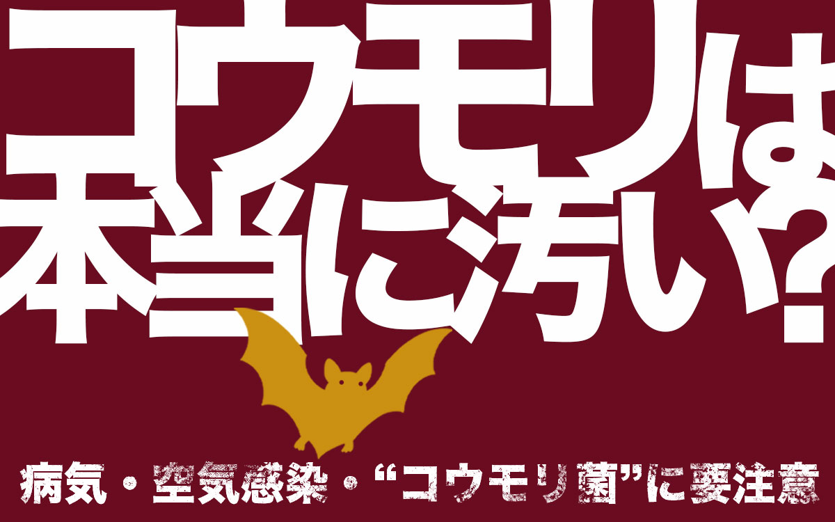 コウモリは汚いのか？病気や空気感染、菌の影響は？