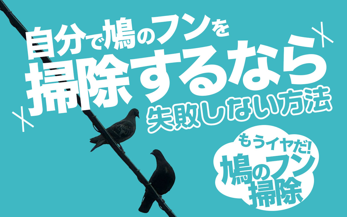 鳩のフン掃除を自分でやるなら、失敗しない方法とは？