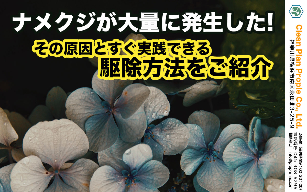 ナメクジが大量に発生した!その原因とすぐ実践できる駆除方法をご紹介
