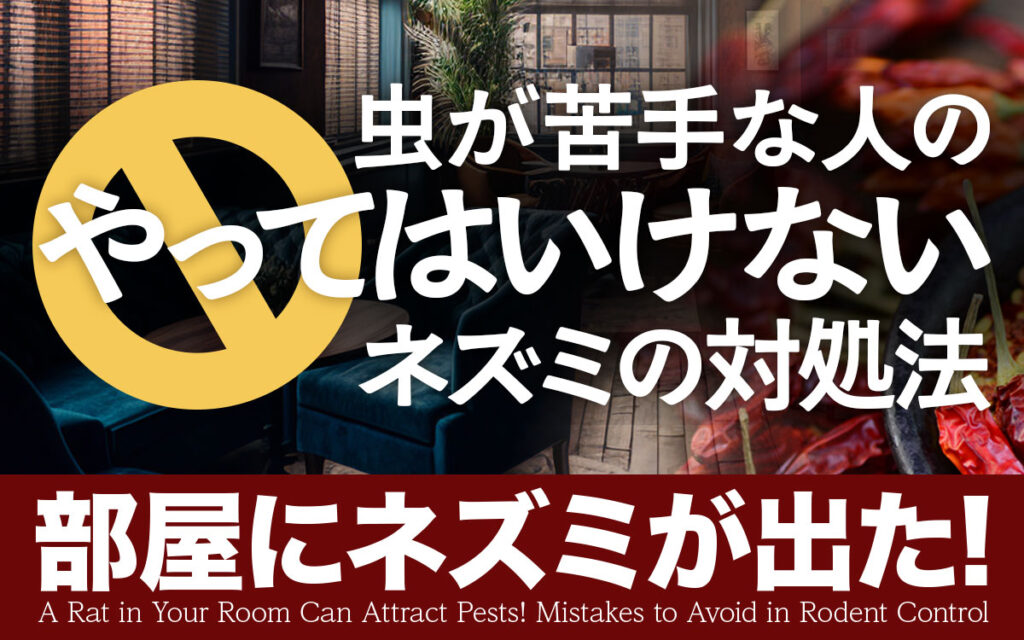 【部屋にネズミが出た！】虫が苦手な人の『やってはいけないネズミ対処法』