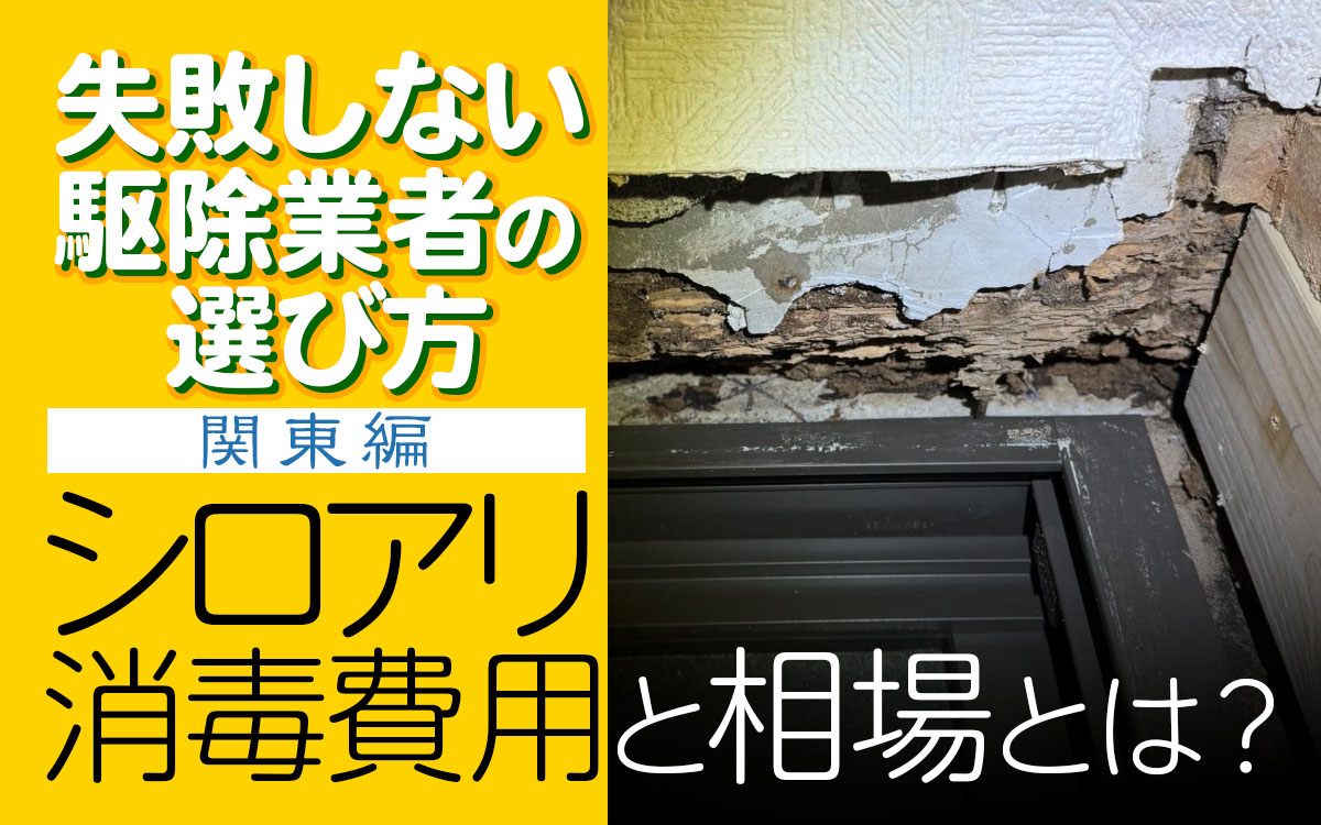 関東のシロアリ消毒の相場と駆除業者の選び方とは