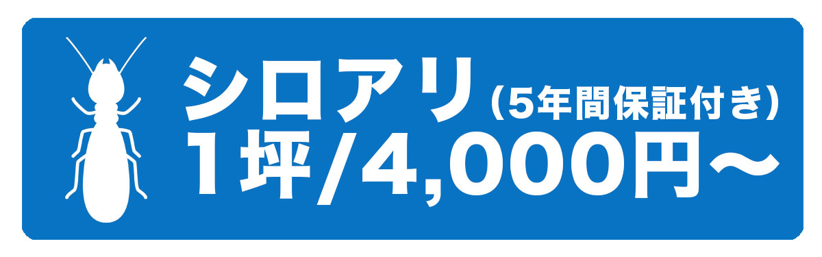 シロアリ　駆除価格